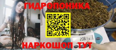стаф Усть-Илимск