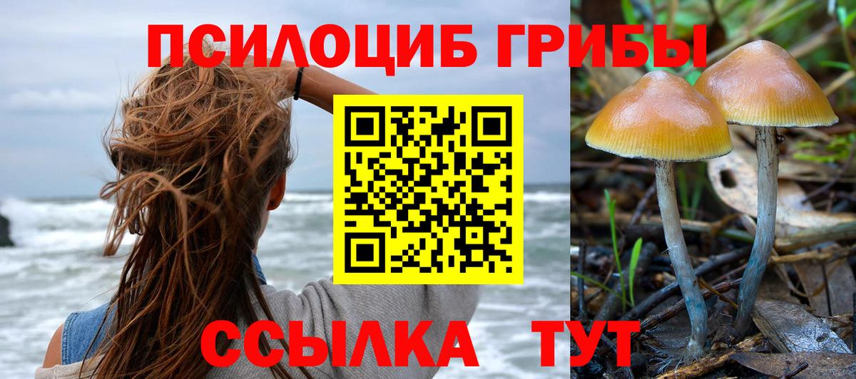 Гусев  Псилоцибиновые грибы GOLDEN TEACHER  Вход с VPN  Псилоцибиновые грибы Psilocybine cubensis 