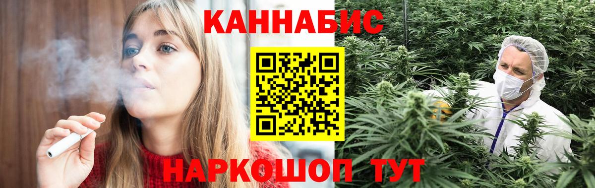 Каннабис планчик Гусев